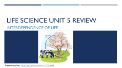 File - Mrs. Schneider`s Science home page