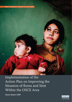Implementation of the Action Plan on Improving the Situation