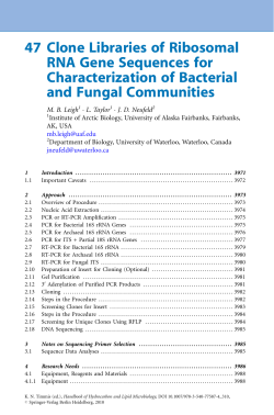 Clone Libraries of Ribosomal RNA Gene Sequences for