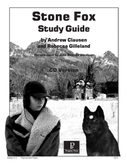 Stone Fox - Rainbow Resource