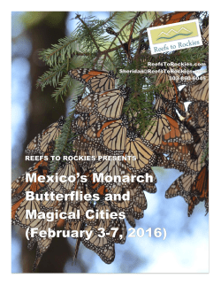 Mexico`s Monarch Butterflies and Magical Cities