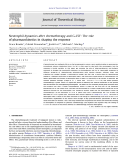 Neutrophil dynamics after chemotherapy and G
