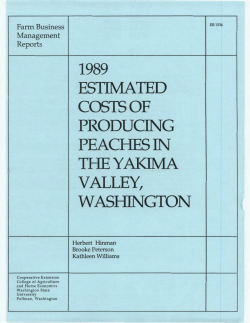 estimated producing peaches in `i`hey valley, washington