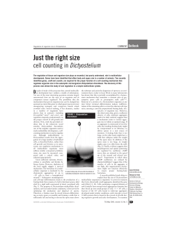 Just the right size - University of California San Diego