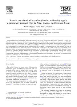 Bacteria associated with sardine (Sardina pilchardus) eggs in a