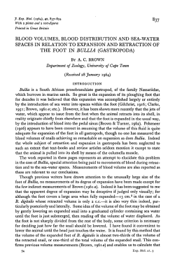 as a PDF