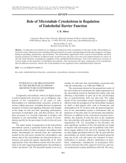 Role of Microtubule Cytoskeleton in Regulation of Endothelial