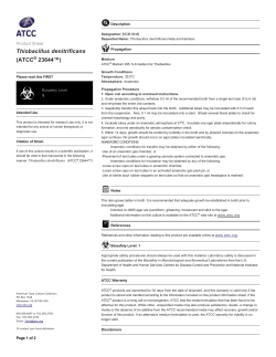 Thiobacillus denitrificans (ATCC&reg; 23644&trade;)