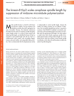 The kinesin-8 Kip3 scales anaphase spindle length by suppression