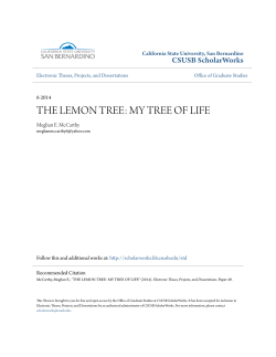the lemon tree: my tree of life