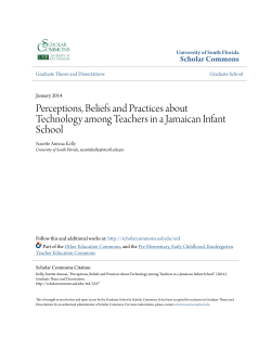 Perceptions, Beliefs and Practices about Technology