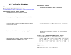 DNA replication worksheet - Rockwood Staff Websites Staff Websites