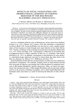 effects of social facilitation and observational learning on feeding