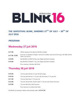 See document - Blinkfestivalen