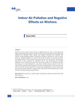Indoor Air Pollution and Negative Effects on Workers
