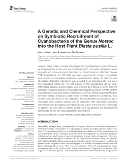 A Genetic and Chemical Perspective on Symbiotic Recruitment of