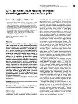 AP-1, but not NF-кB, is required for efficient steroid
