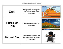 Petroleum (Oil) Natural Gas