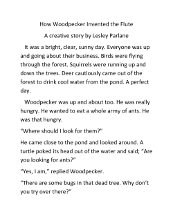 How Woodpecker Invented the Flute A creative story by Lesley