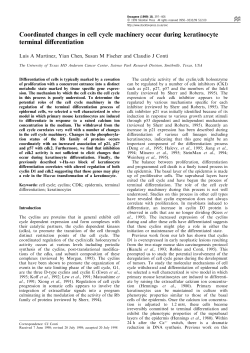 Coordinated changes in cell cycle machinery occur during