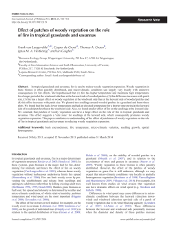 Effect of patches of woody vegetation on the role of fire in