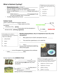Nutrient Cycles and Human Impacts notesheet