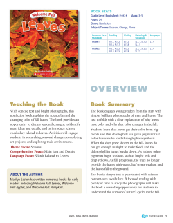 Welcome Fall: Leaves Storia Teaching Guide