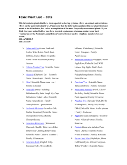 Toxic Plant List &ndash; Cats - Tender Care Animal Rescue