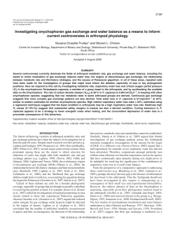 Investigating onychophoran gas exchange and water balance as a