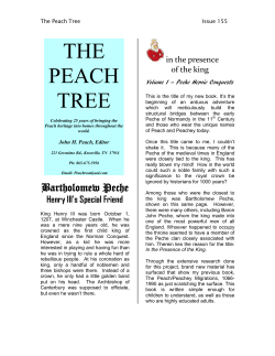 THE PEACH TREE