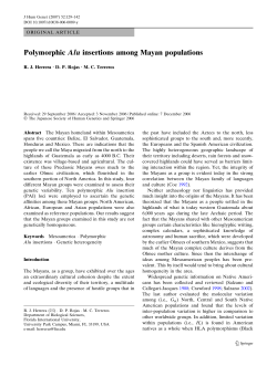 Polymorphic Alu insertions among Mayan populations