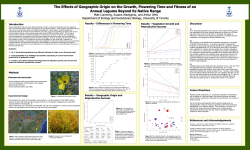 The Effects of Geographic Origin on the Growth, Flowering Time and