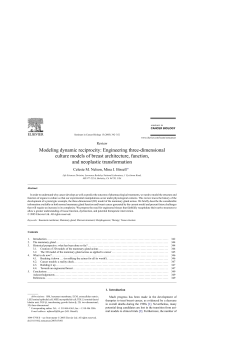 Modeling dynamic reciprocity: Engineering three