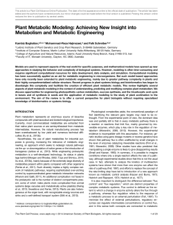 Plant Metabolic Modeling: Achieving New Insight