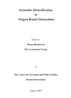 Economic Diversification in Negara Brunei Darussalam