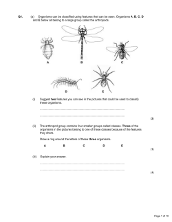 Q1. (a) Organisms can be classified using features that can be seen