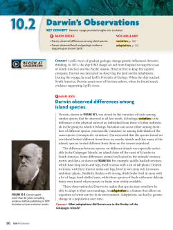 Darwin`s Observations