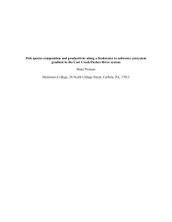 Fish species composition and productivity along a freshwater to