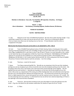 PB Minutes 7/6/16 1 Town of Wallkill PLANNING BOARD MINUTES