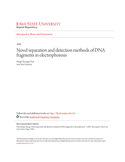 Novel separation and detection methods of DNA fragments in