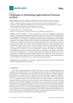 Challenges in Simulating Light-Induced Processes in DNA
