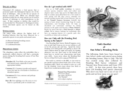 here - The City of Ann Arbor