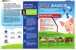 Pig Basics