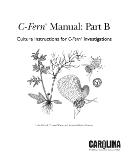 C-Fern® Manual: Part B