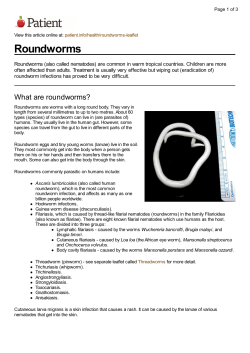 Roundworms