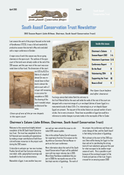Newsletter #2 - South Asasif Conservation Project