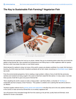 The Key to Sustainable Fish Farming? Vegetarian Fish