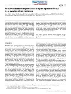 Mercury increases water permeability of a plant aquaporin through a