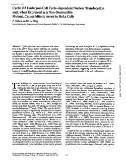 Cyclin B2 Undergoes Cell Cycle-dependent Nuclear Translocation