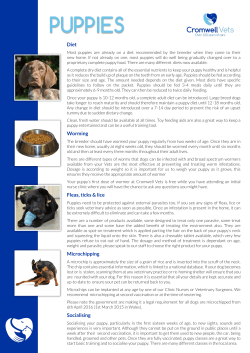 puppies - Cromwell Vets